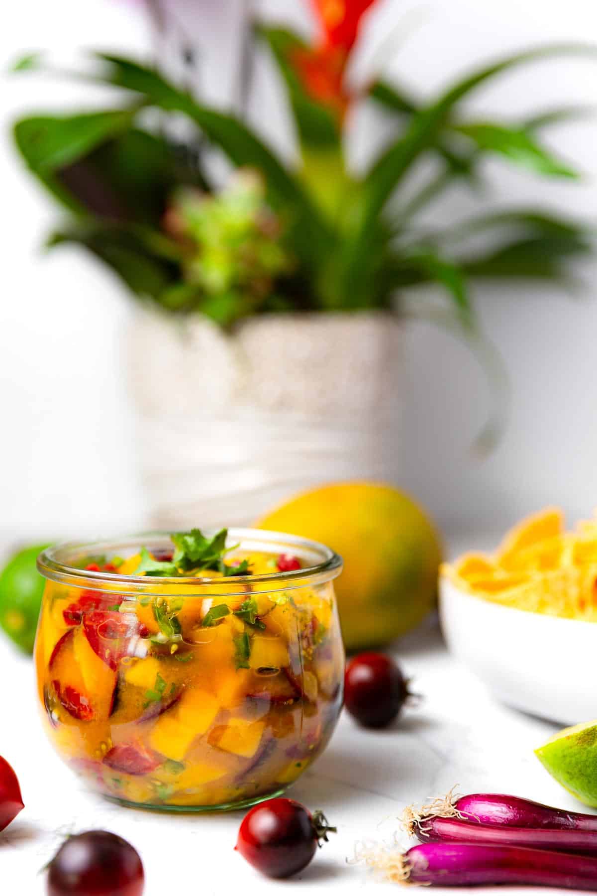 A glass bowl filled with fresh homemade mango salsa with a tropical plant in a white planter behind it.