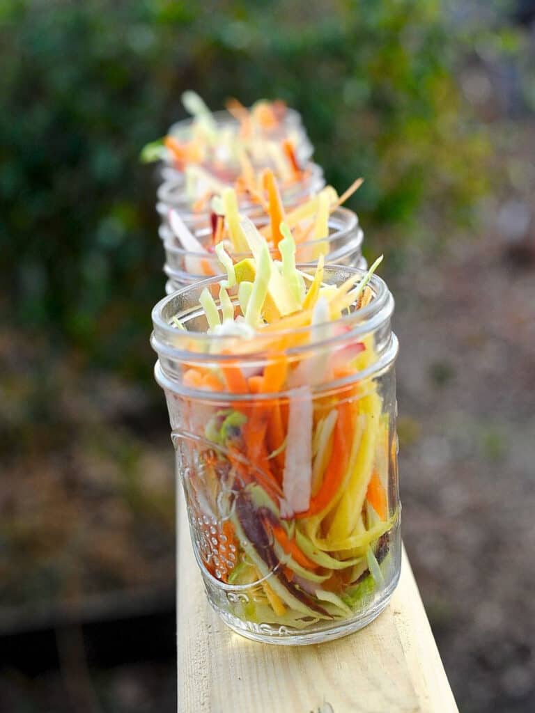 Rainbow carrot pickles in jars