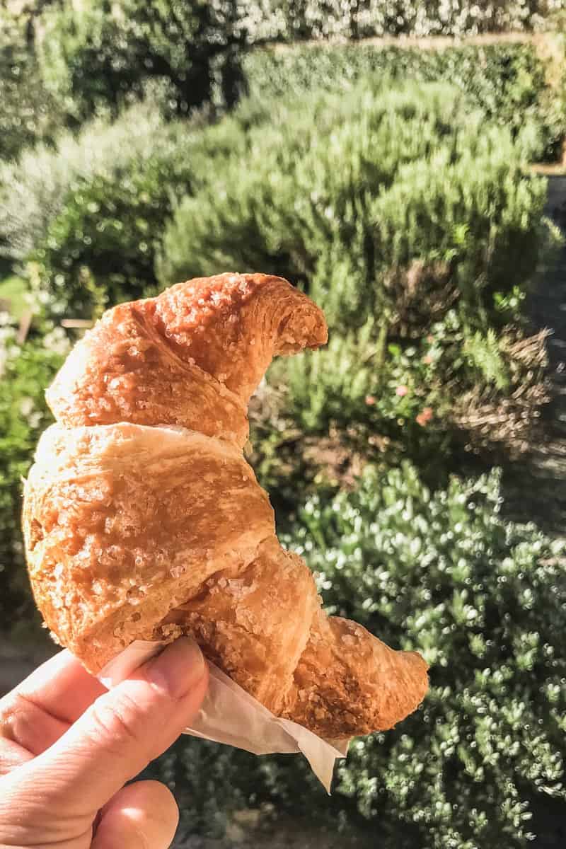 A vegan croissant held in front of green bushes in the sunshine.
