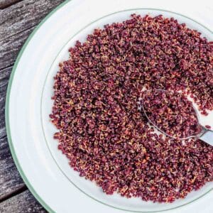 A plate of bacon bits made using red quinoa.