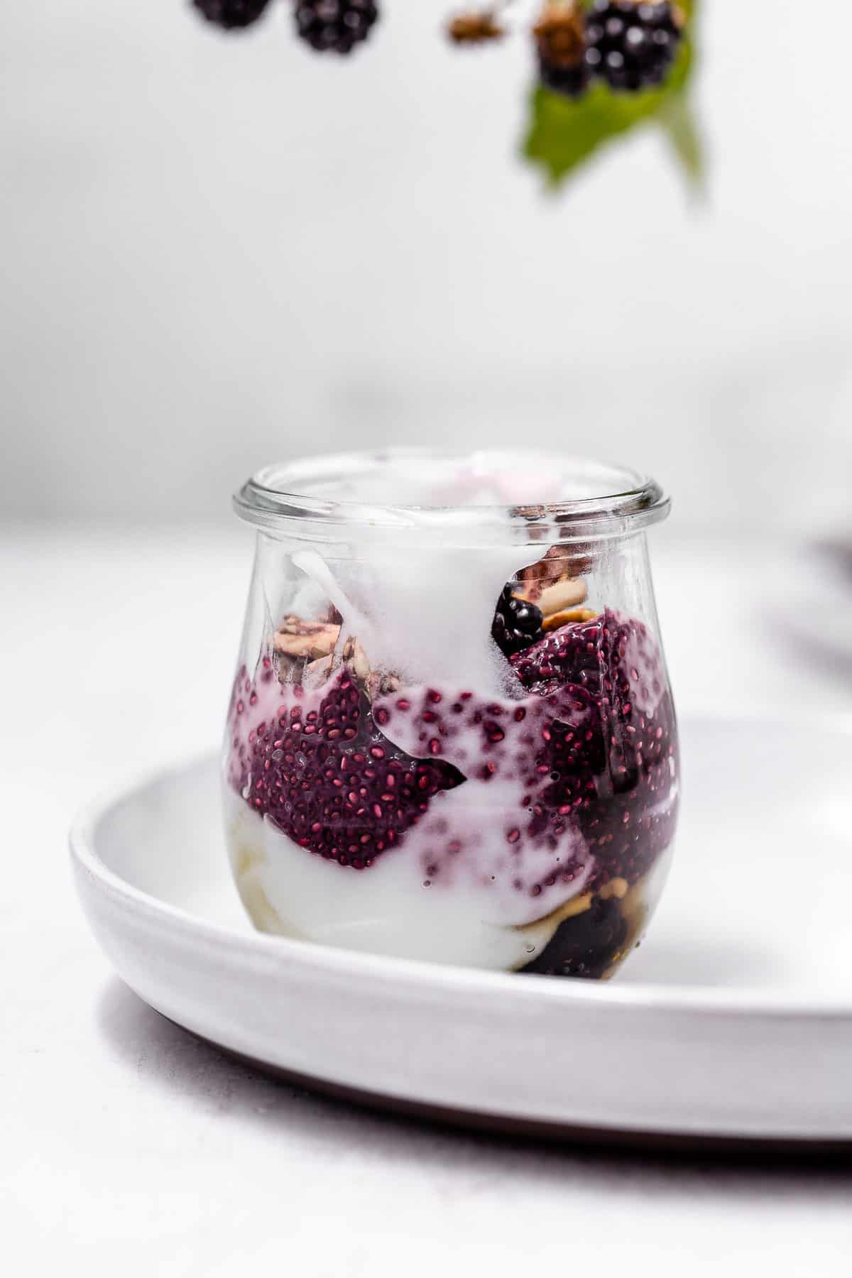 A small jar of blackberry chia pudding with coconut yogurt stirred in and a branch of blackberries hanging overhead.
