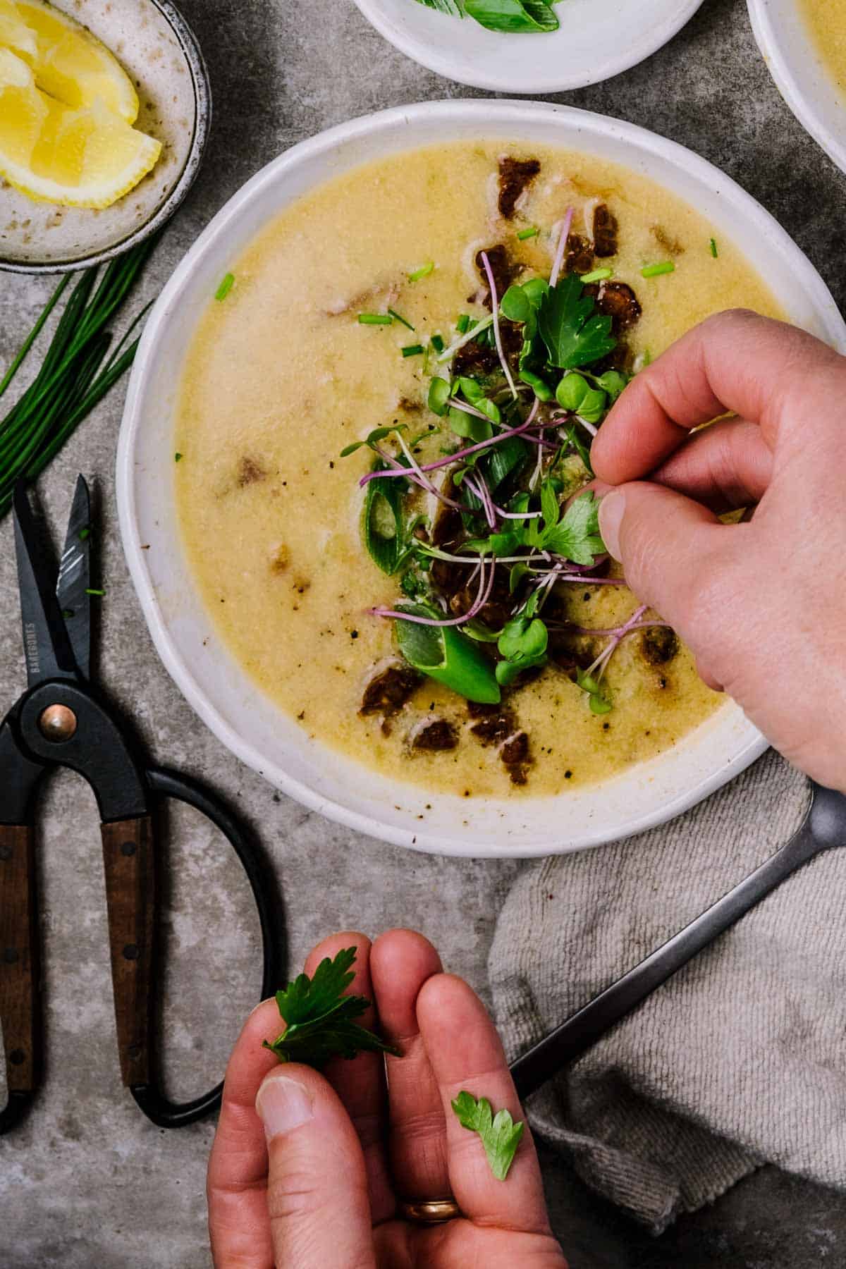 Oyster Mushroom Chowder • Beautiful Ingredient
