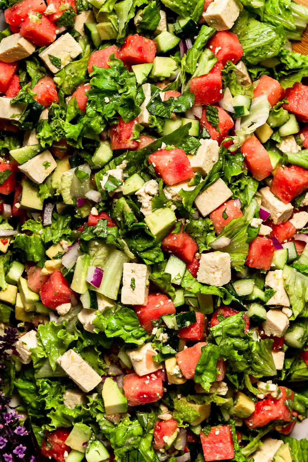 A closeup of vegan watermelon salad with oil-free tofu feta.