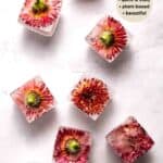 A scattering of edible flower ice cubes with red-orange flowers and text indicating the recipe is quick and easy.